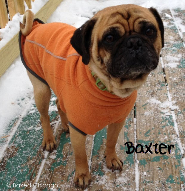 My dog Baxter has several food and seasonal allergies that require medication.