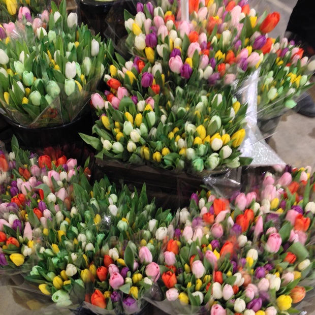 #MyMarianos Flower Market #CollectiveBias #shop Chicago Flower & Garden Show