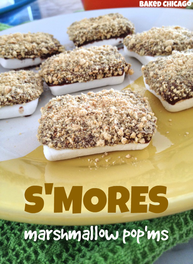 s'mores marshmallow pop'ms